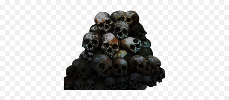 Download Pile Of Skulls Png - Awaken To The New World Order Transparent Pile Of Skulls Png Emoji,Skulls Png