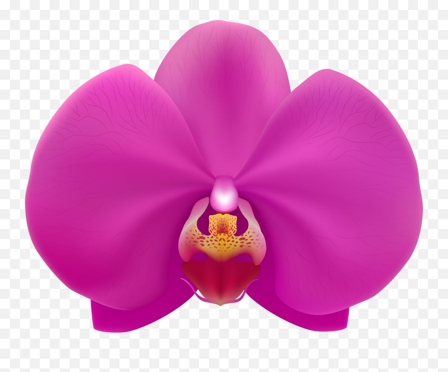 Orchid Clipart Petals Transparent Emoji,Orchid Clipart