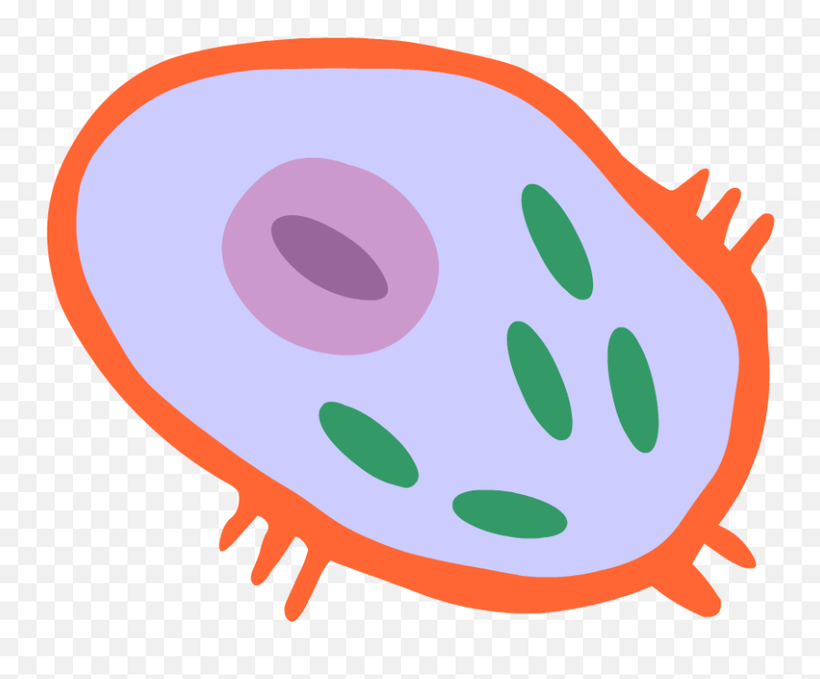 Cell Specialization - Transparent Human Cell Png Emoji,Cells Clipart