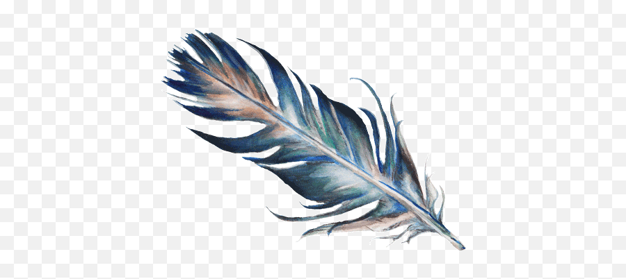 Feather Sketch Feather Sketch Feather Art Emoji,Feather Drawing Png