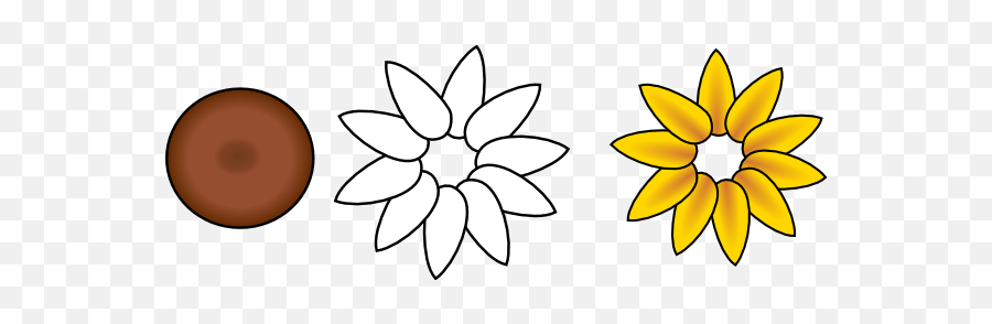 Sunflower Free Drawing Template - Clipart Best Pétale De Tournesol Dessin Emoji,Sunflower Clipart Black And White