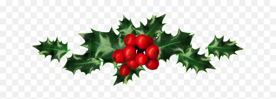 Chicago Self - Christmas Holly On White Background Emoji,Holly Png