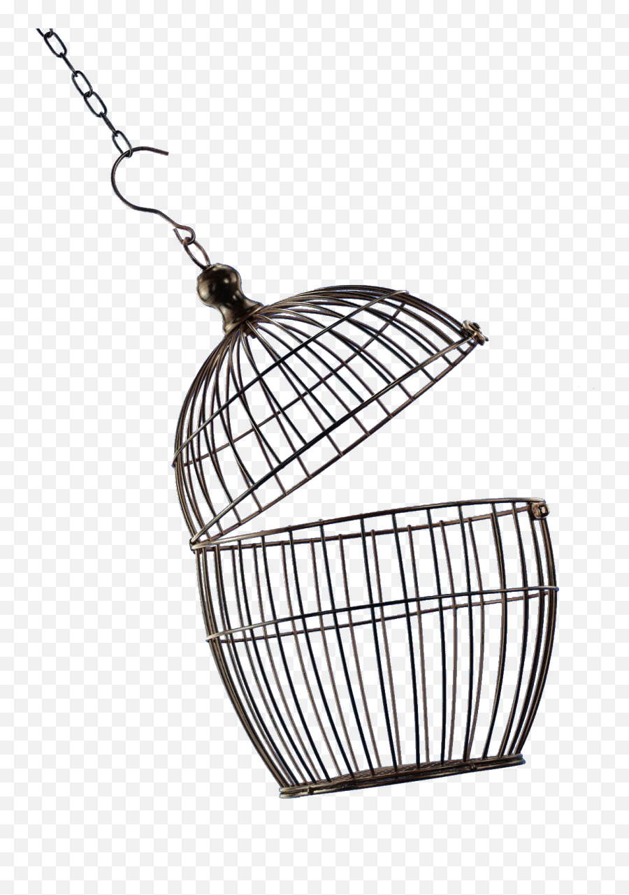 Cage Bird Png - Open Bird Cage Png Emoji,Cage Png