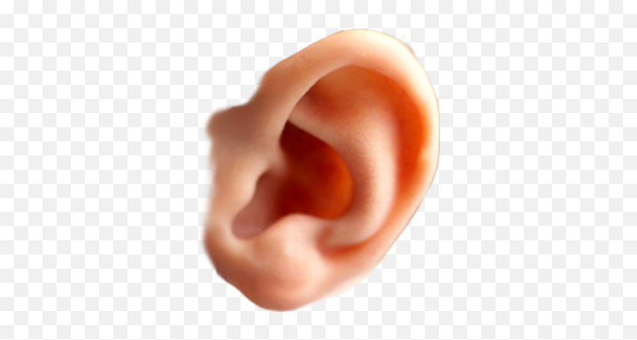 Download Ear Free Png Transparent Image - Ear Transparent Png Emoji,Ear Png