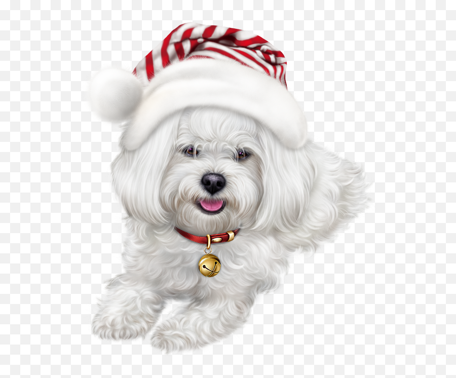 Pin By Aline Santos Probst On Clipart Christmas Animals - Maltese Lhasa Apso Emoji,Christmas Dog Clipart
