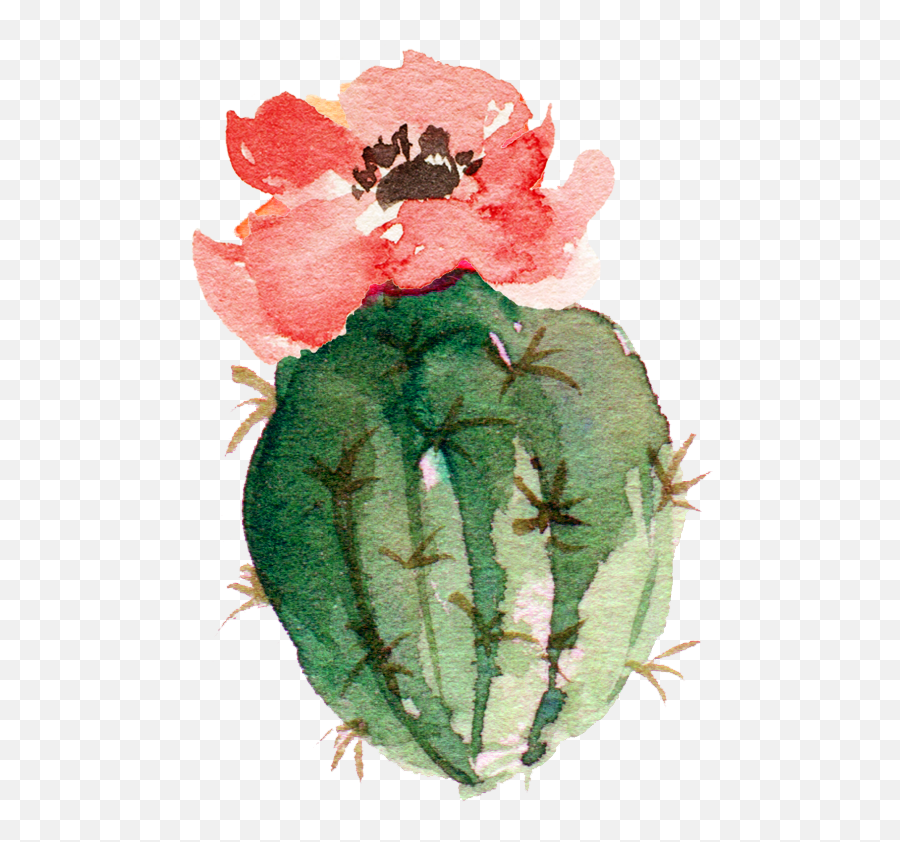Watercolor Flower Background 552790 Transprent Png Free - Rustic Cactus Wall Emoji,Cactus Flower Clipart