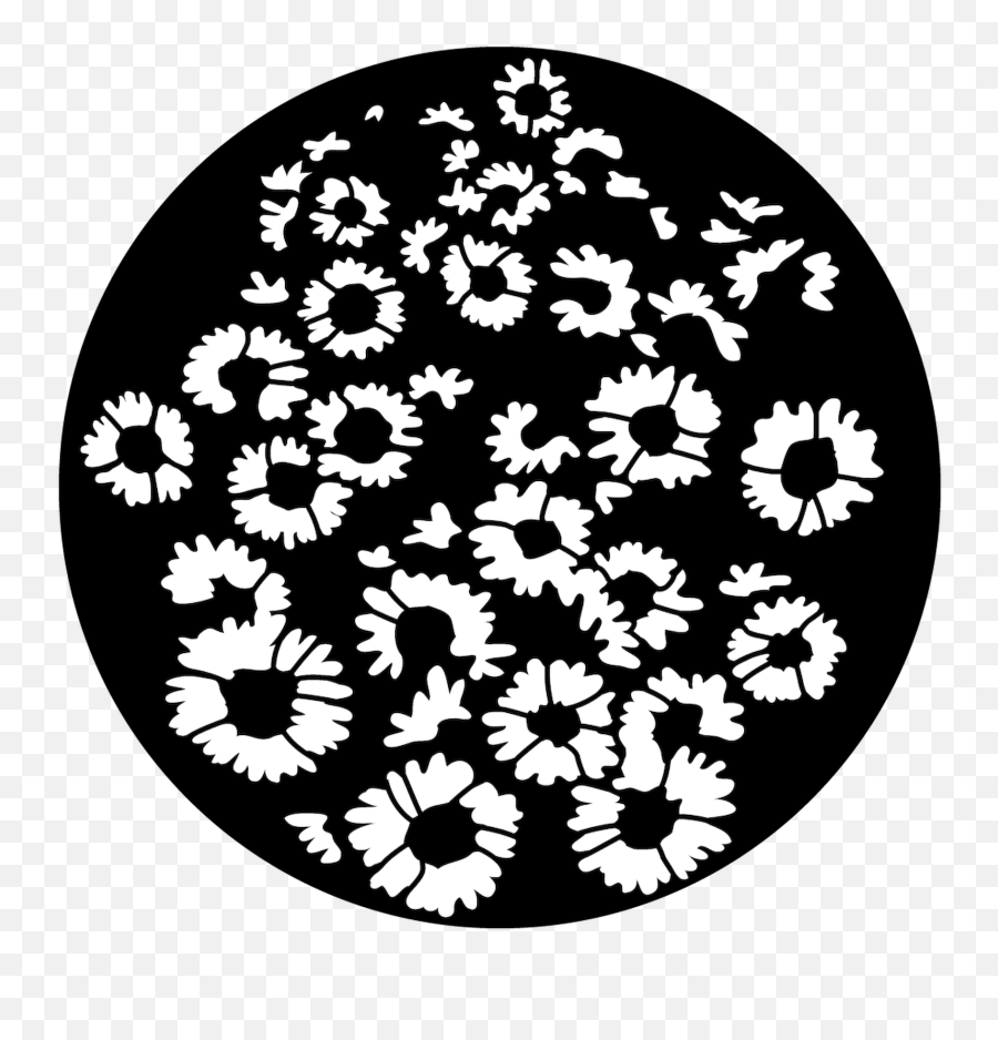 Sunflower Breakup - Circle Transparent Cartoon Jingfm Full Emoji,Sunflower Clipart Black And White