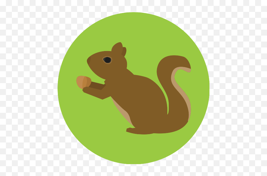 Squirrel Vector Svg Icon - Squirrel Icon Emoji,Squirrel Png