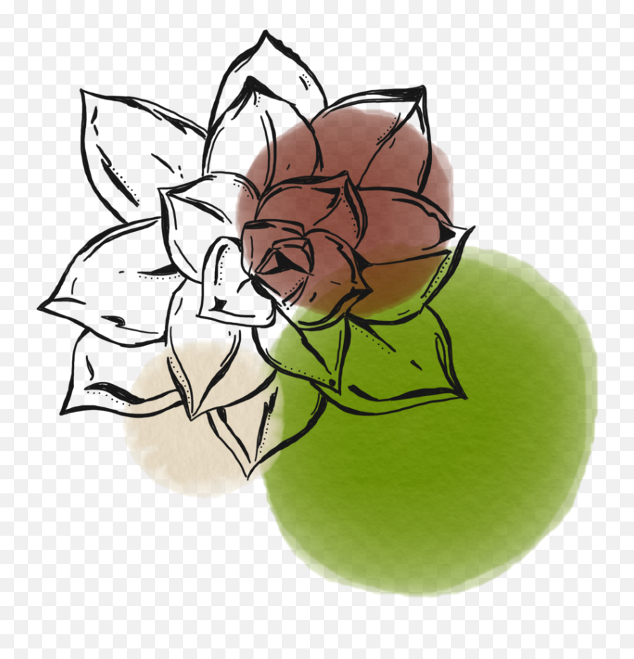 Hazel Lining Photography - Hand Drawn Succulent Flower Drawing Emoji,Succulent Png