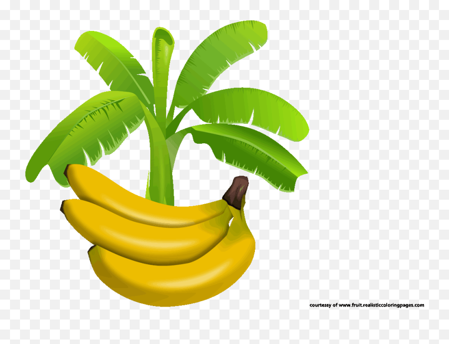 Banana Clipart Banana Tree - Banana Leaf Vector Png Banana Tree Logo Emoji,Banana Clipart