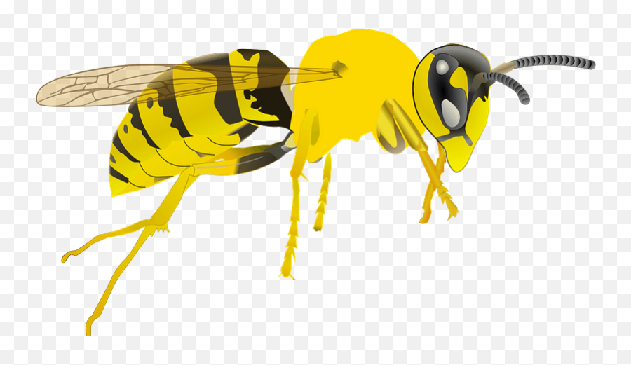 Yellowjacket Clipart - Yellowjacket Clipart Emoji,Hornet Clipart