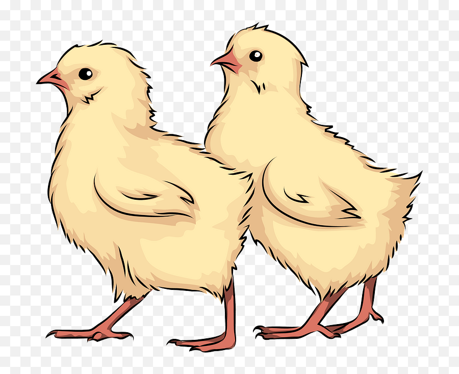 Chicks Clipart Free Download Transparent Png Creazilla Emoji,Baby Chick Clipart