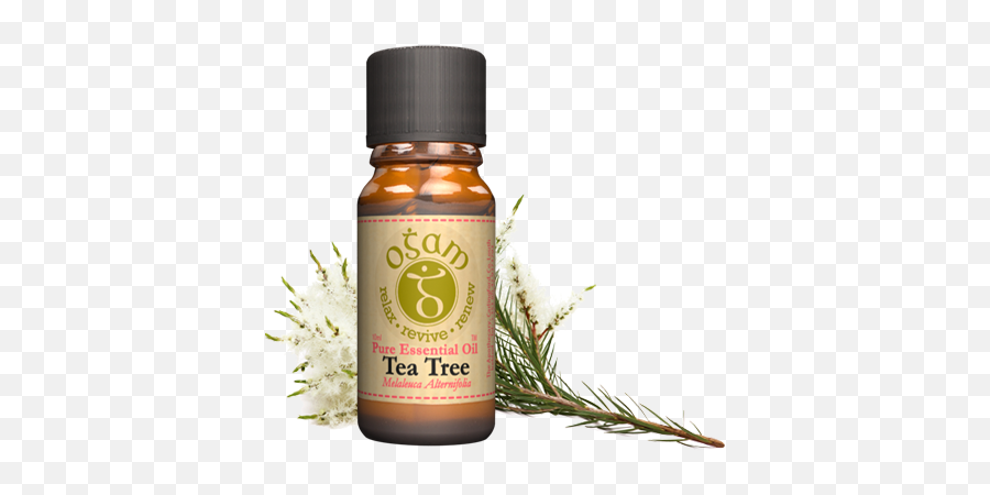 Download Ogam Tea Tree Pure Essential Oil - Tea Tree Emoji,Essential Oil Clipart