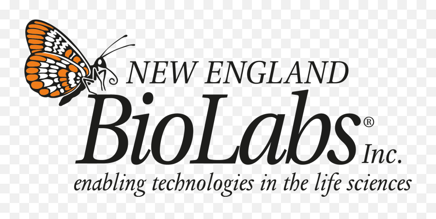 Teamfau Erlangen - 2018igemorg New England Biolabs Emoji,Fau Logo