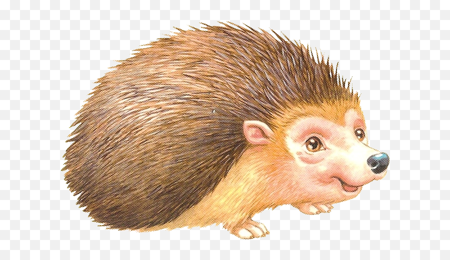 Download Porcupine Rodent European Domesticated Hedgehog Emoji,Porcupine Clipart