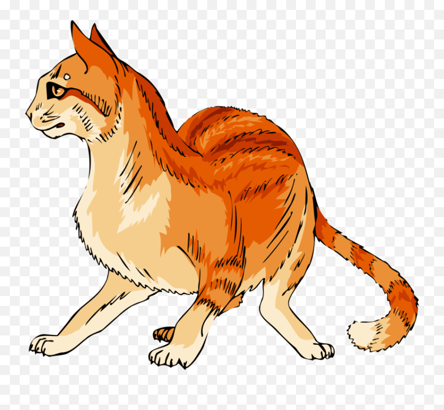 Wild Cat Carnivoran Lion Png Clipart - Cute Clipart Orange Cat Emoji,Cat Tail Clipart