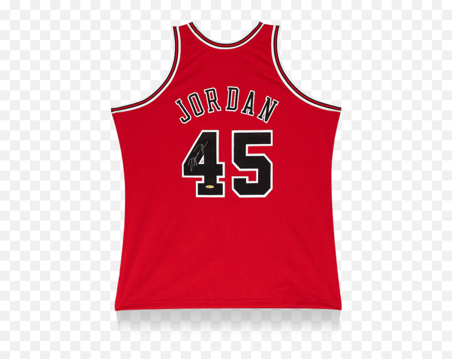Download Michael Jordan Back Signed Chicago Bulls 1995 Emoji,Chicago Bulls Png