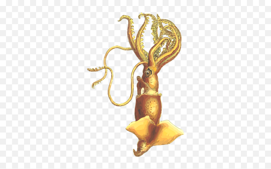 Animal Mollusc Squid Transparent Png Images U2013 Free Png Emoji,Octopus Clipart Free