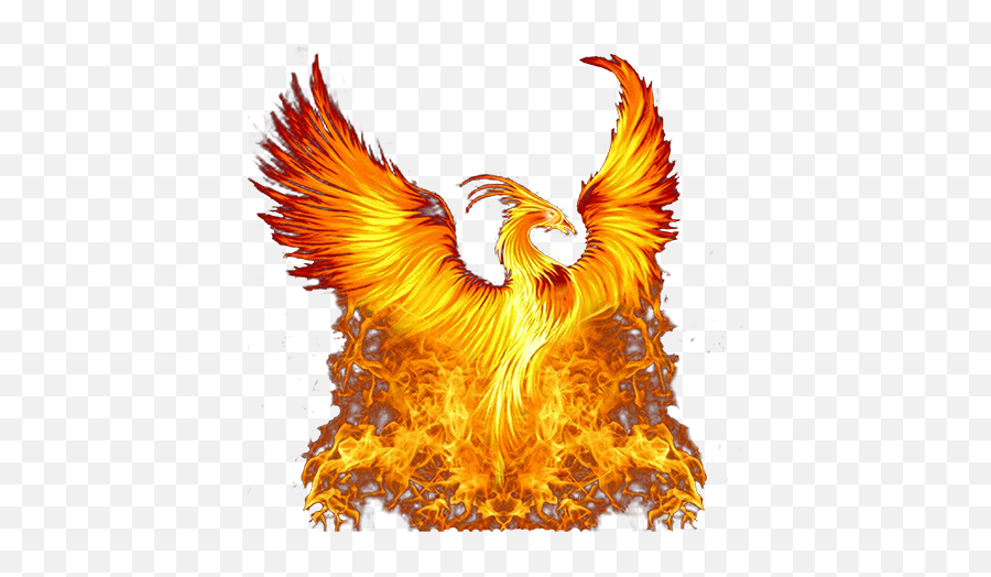 The Golden Phoenix - Phoenix Bird Golden Phoenix Emoji,Phoenix Png