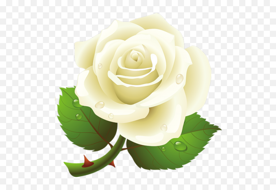 White Rose Png Image Flower White Rose - Rose Flower White Png Emoji,White Rose Png