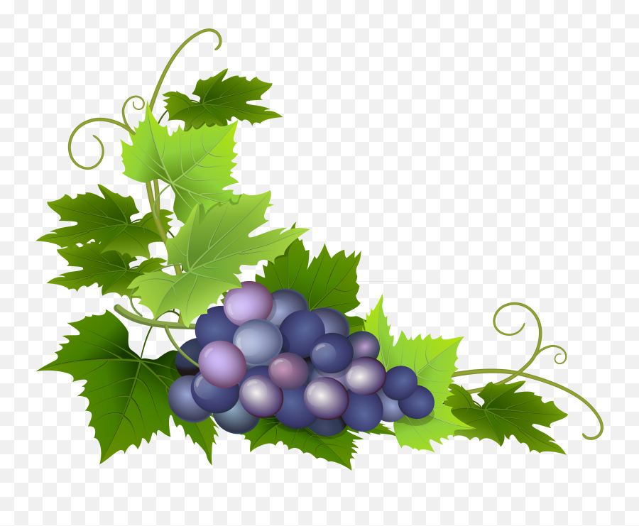 Grapes Clipart Yellow Grapes Yellow Transparent Free For Emoji,Grapes Clipart