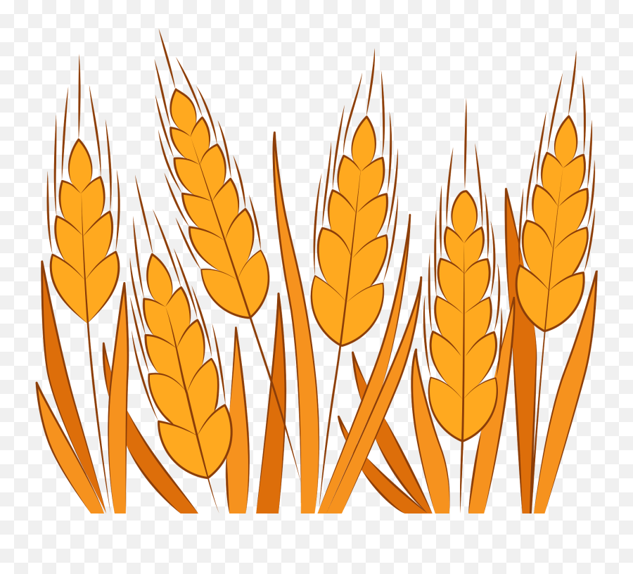 Wheat Clipart - Language Emoji,Wheat Clipart