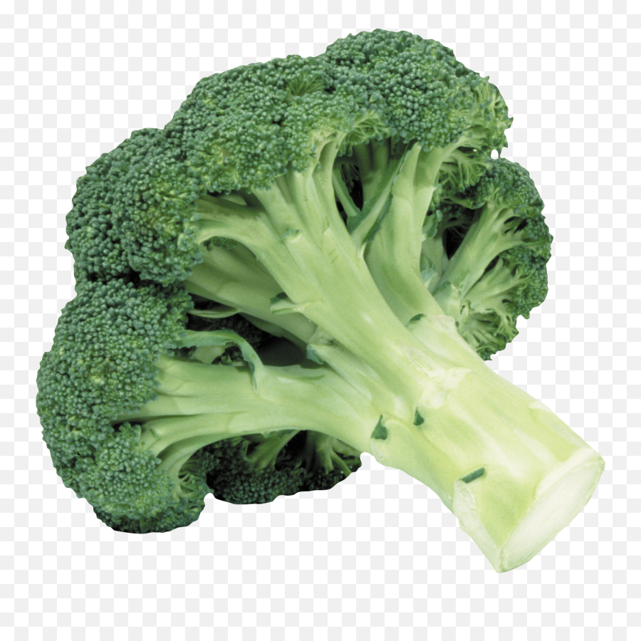 Broccoli Tree Transparent Png - Broccoli Transparent Background Emoji,Broccoli Clipart