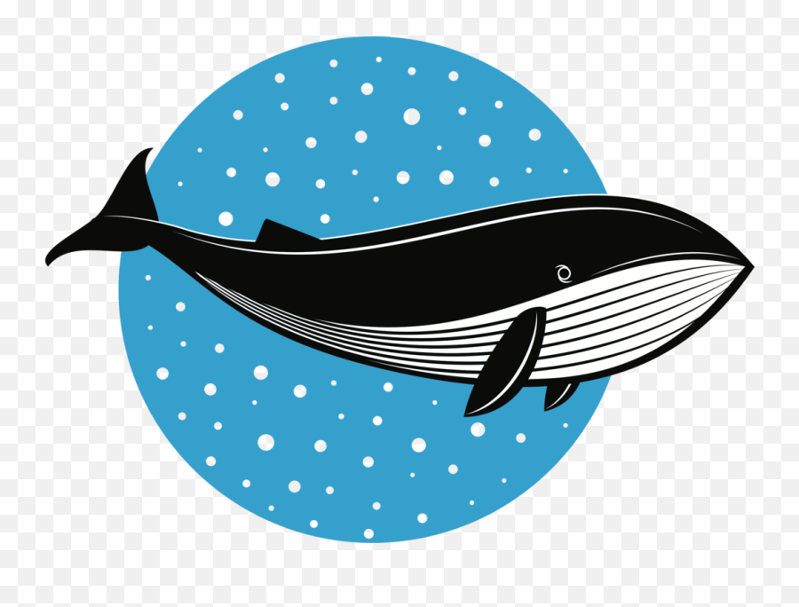Whales Fish Logo Dolphin Drawing Cc0 - Blue Whale Clipart Blue Whale Size Drawing Emoji,Whale Clipart