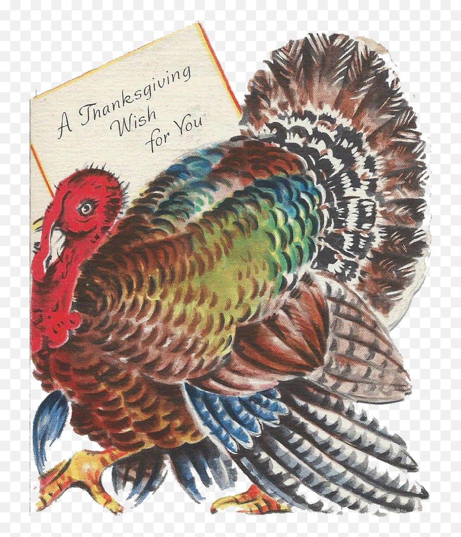Free Farm Turkey Cliparts Download Free Clip Art Free Clip - Wild Turkey Emoji,Turkey Clipart Free