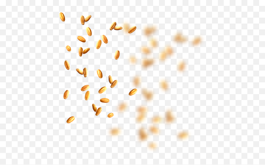 Wheat Grain Png Transparent Png Image - Png Grains Emoji,Grain Png