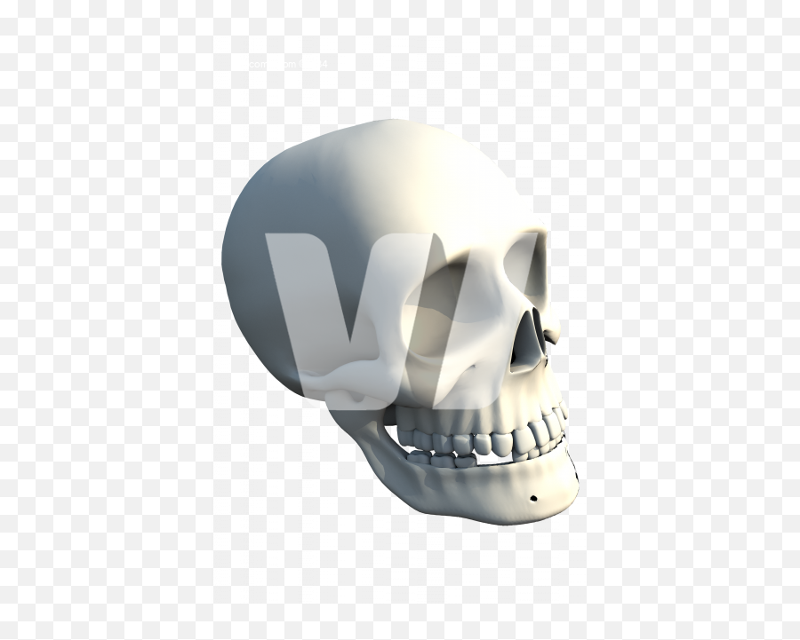 Human Skull - Png Graphic Welcomia Imagery Stock Scary Emoji,Skulls Png