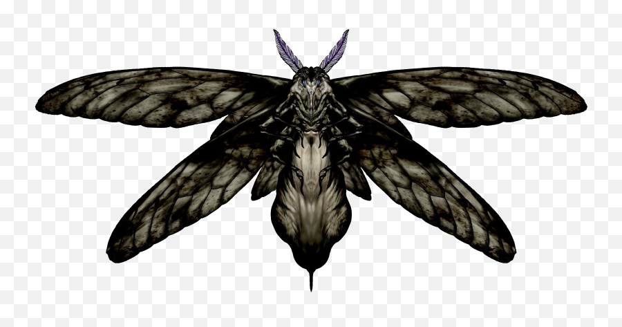 Giant Moth Resident Evil Fanon Wiki Fandom - Moth Png Emoji,Moth Transparent