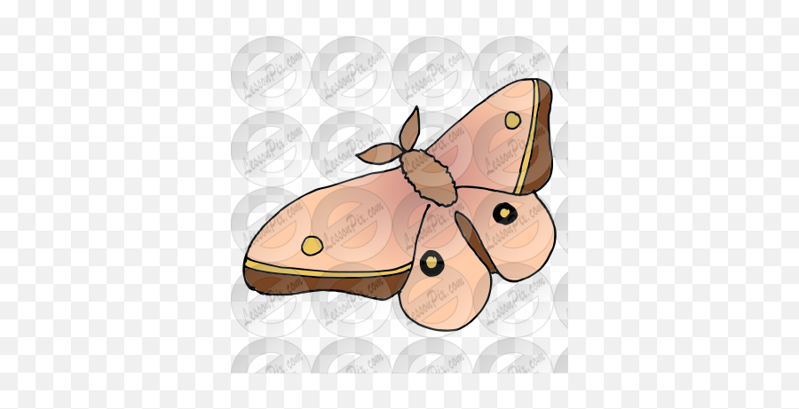 Moth Picture For Classroom Therapy Use - Great Moth Clipart Polyphemus Moth Emoji,Moth Png