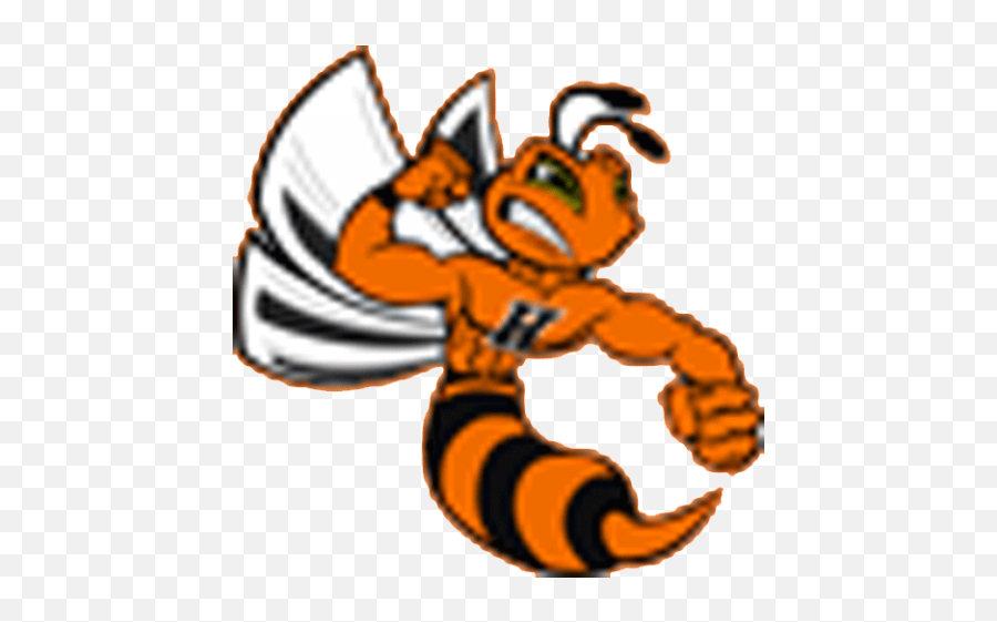 Hamilton West Hornets - Hamilton New Jersey Mascotdbcom Emoji,Hornets Clipart
