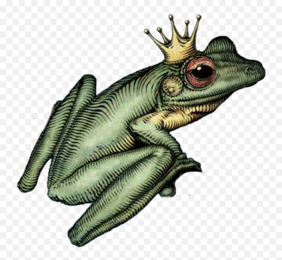 Frog Prince Green Crown Png Moodboard Sticker By Aroe Emoji,Prince Crown Png