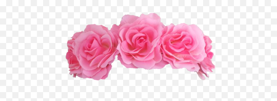 Roses Crown Png - Transparent Background Pink Flower Crown Emoji,Flower Crown Png