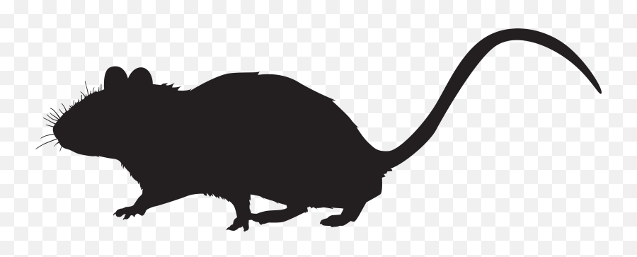 Clipart Rat Country Mouse Clipart Rat - Silhouette Rat Clip Art Emoji,Mouse Clipart