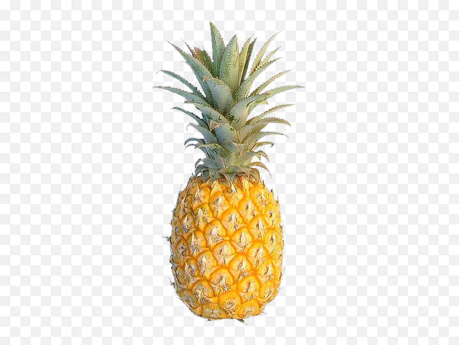 Hawaii Fruit Pineapple Clipart Png - Single Pineapple Fruit Png Emoji,Pineapple Clipart