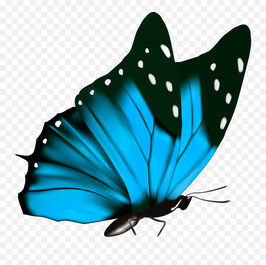 Blue Butterfly Png Transparent Png - Butterfly Png In Black Background Emoji,Butterfly Png