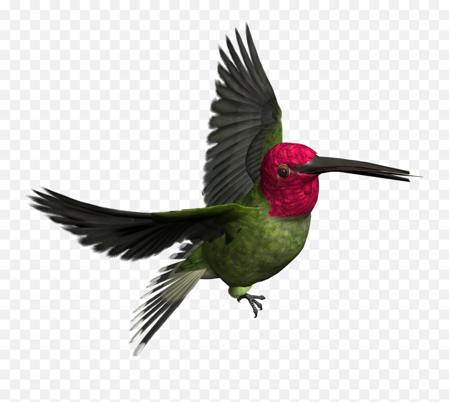 Free High Resolution Graphics And Clip - Bird Png Emoji,Bird Png