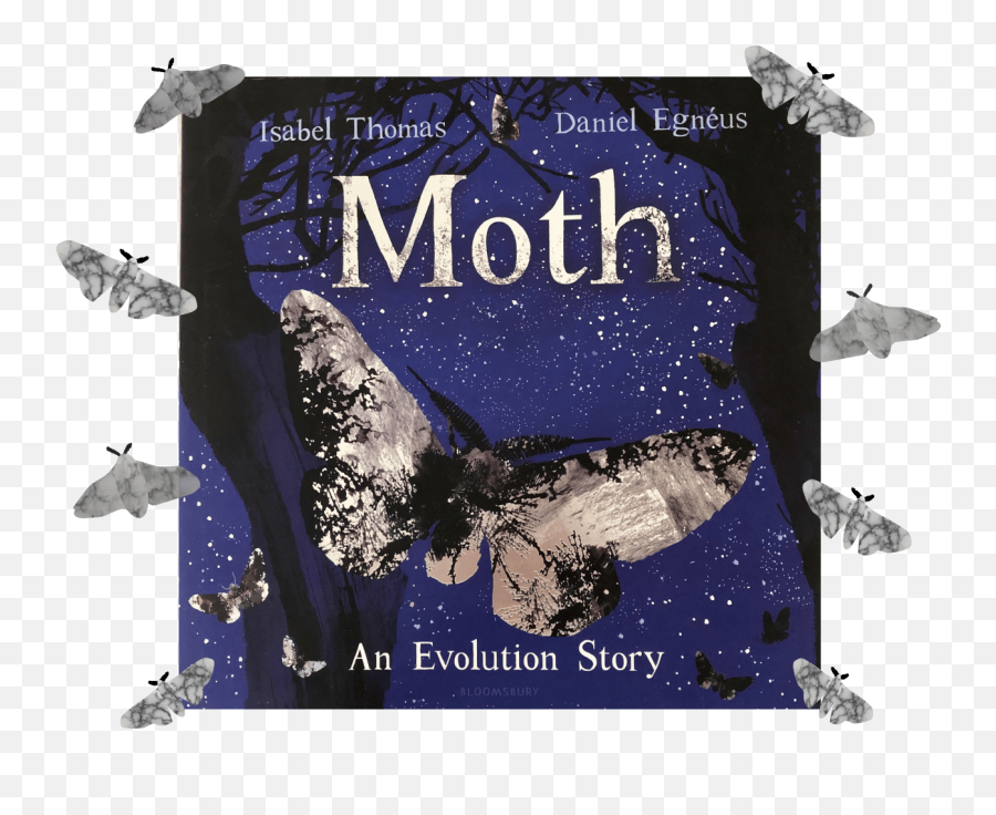 Moth An Evolution Story By Isabel Thomas And Daniel Egnéus - Moth An Evolution Story Emoji,Moth Transparent