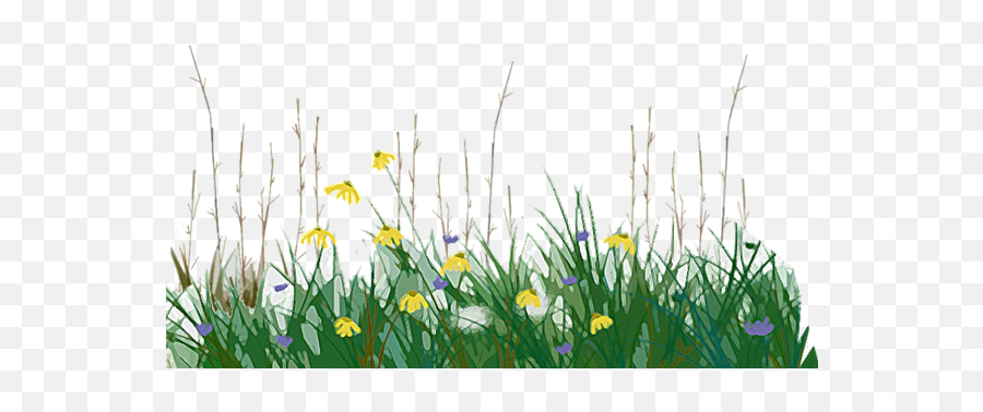 Temperate Grasslands Savannas And Shrublands Tallgrass - Buttercup Emoji,Tall Grass Png