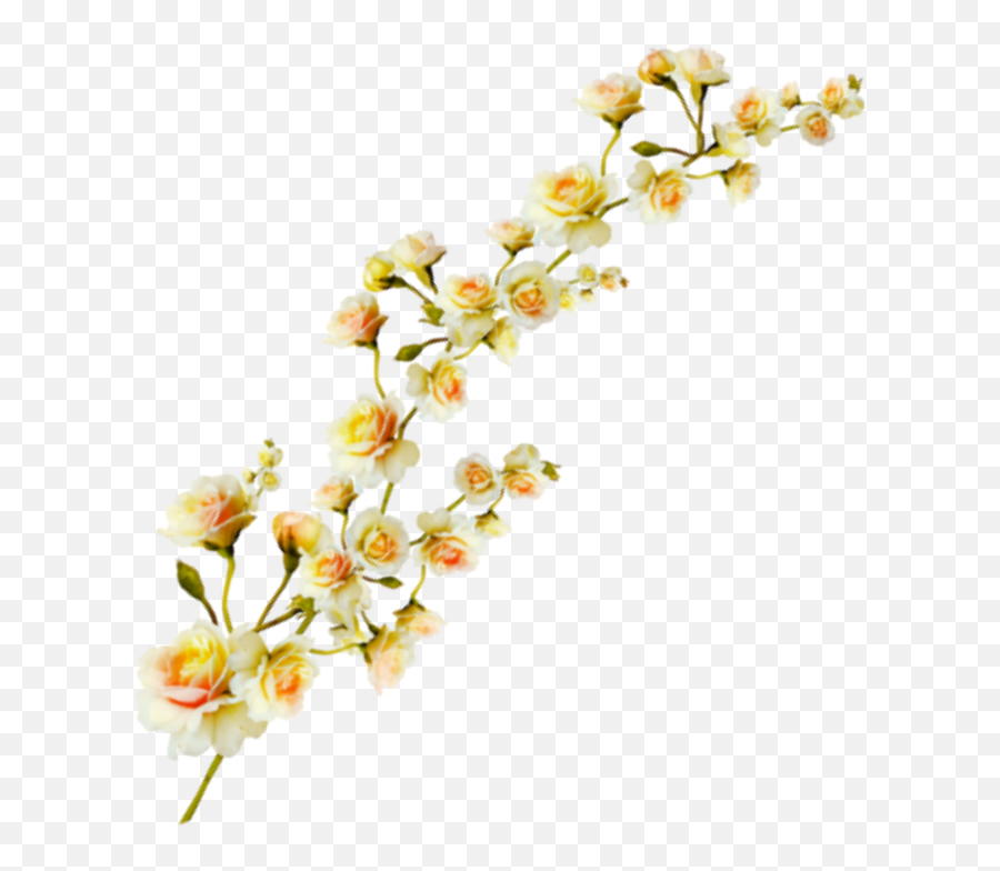 Plant Aesthetic Transparent Clipart - Aesthetic Pastel Yellow Png Emoji,Aesthetic Transparent