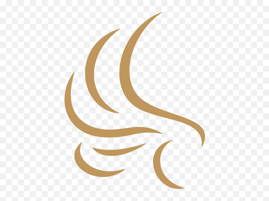 Auburn Al Hotels - Vertical Emoji,Auburn Logo