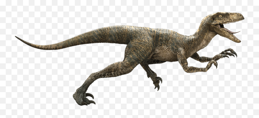Jurassic Park Velociraptor Deinonychus - Echo Velociraptor Emoji,Jurassic World Clipart