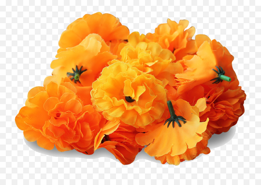 Download Unique Poppy Clip Art Clipart Free Download On - Marigolds Transparent Png Emoji,Poppy Flower Clipart