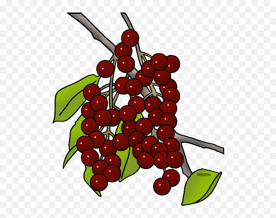 Fruit Clip Art By Phillip Martin Chokecherries - Choke Cherry Clip Art Emoji,Cherries Clipart