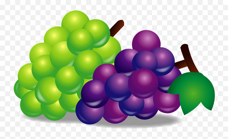 Bunches Of Green And Purple Grapes Clipart Free Download - Green And Purple Grapes Clipart Emoji,Grapes Clipart