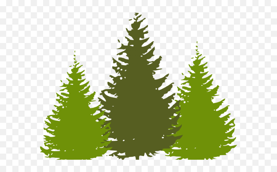 Cedar Tree Emoji,Pine Tree Transparent