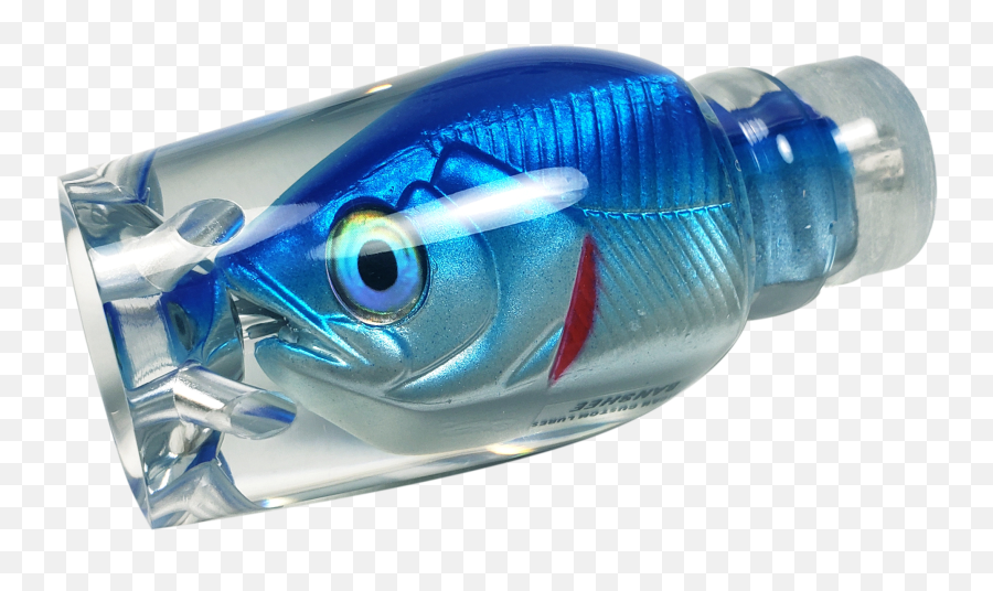 American Custom Banshee Fish Head Emoji,Fish With Transparent Head